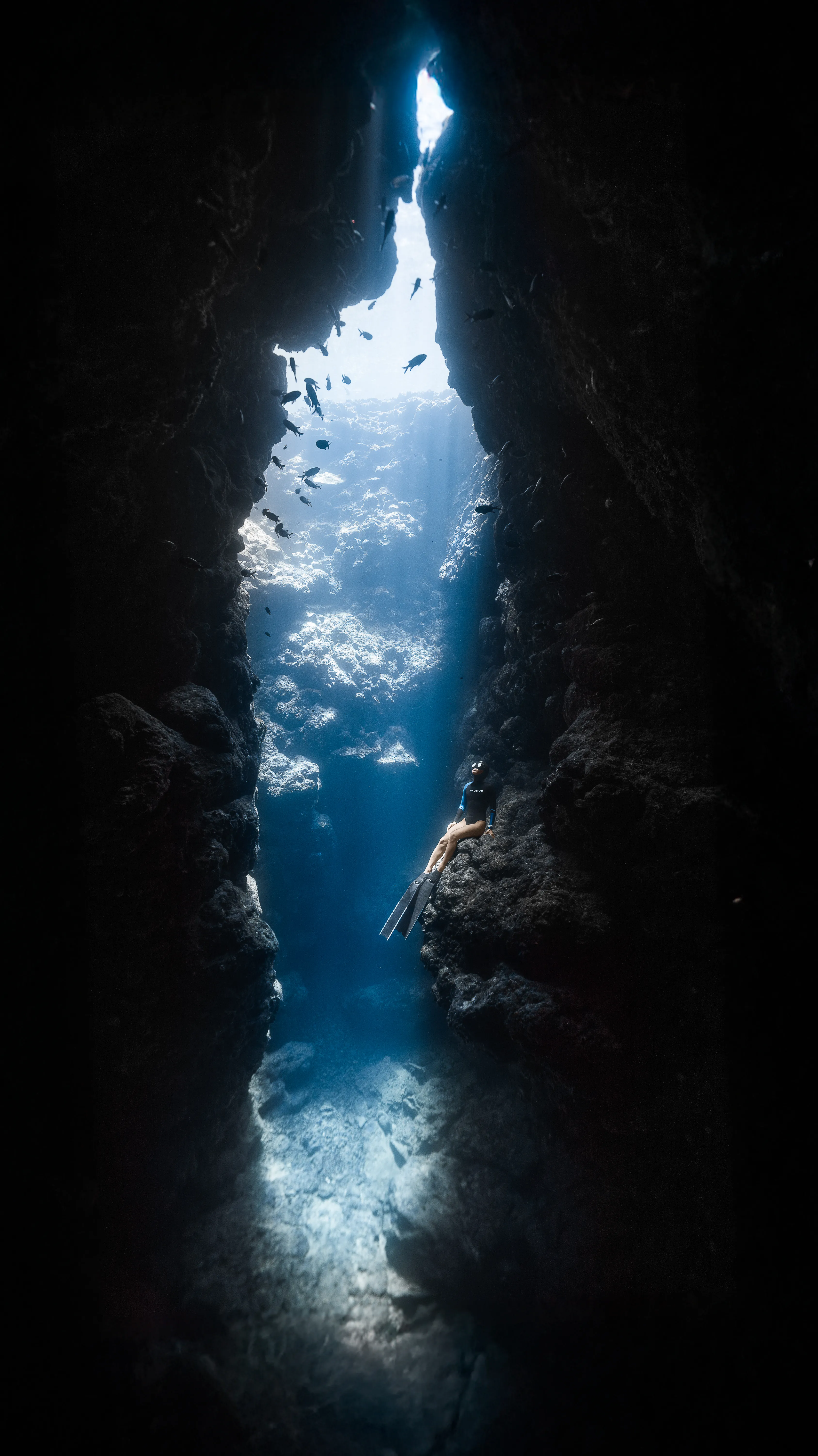Freediver descending in the open blue off Oahu