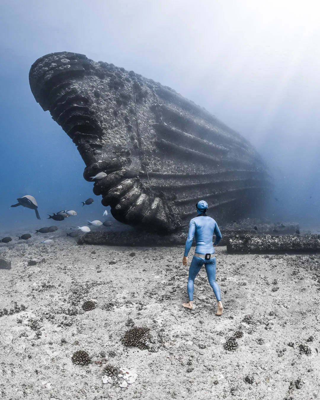 Underwater freediving on Oahu