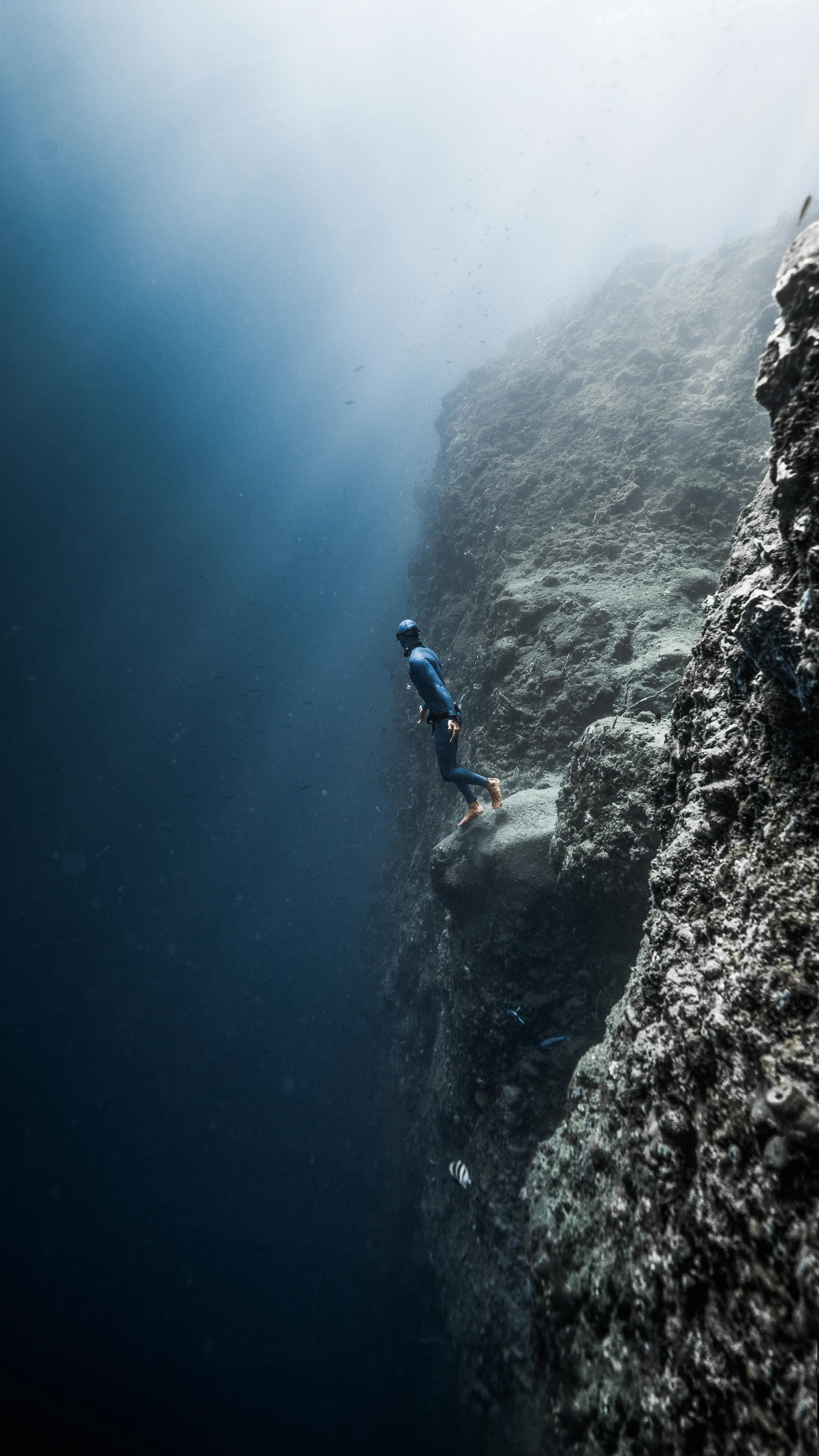 Freediver underwater off Oahu